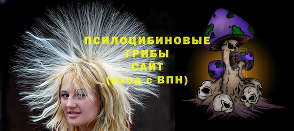a pvp Алексин