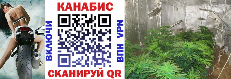 Марихуана тримм  shop какой сайт  Краснотурьинск  omg зеркало 